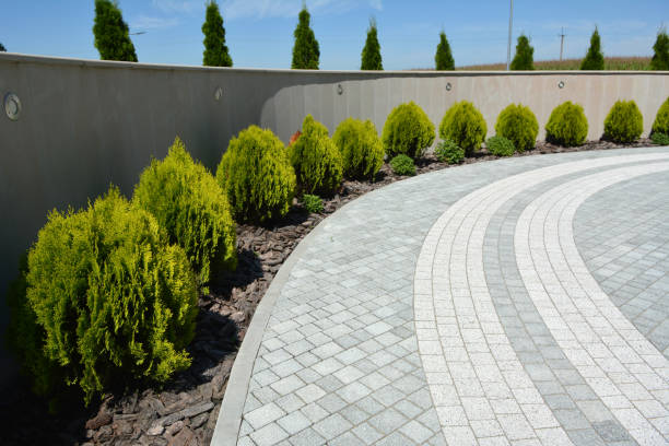 Best Driveway Pavers Near Me  in Whitewright, TX